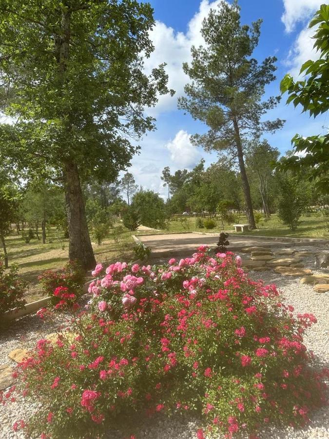 Superbe Villa Seillans La Grande Bastide Avec Piscine, Jardin, Climatisation Et Salle De Sport Eksteriør billede