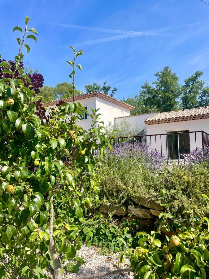 Superbe Villa Seillans La Grande Bastide Avec Piscine, Jardin, Climatisation Et Salle De Sport Eksteriør billede