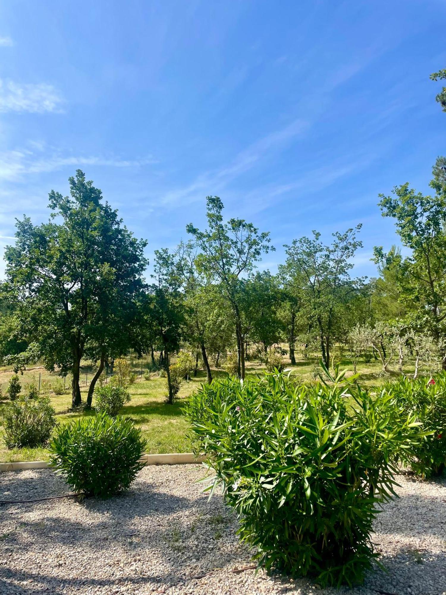 Superbe Villa Seillans La Grande Bastide Avec Piscine, Jardin, Climatisation Et Salle De Sport Eksteriør billede