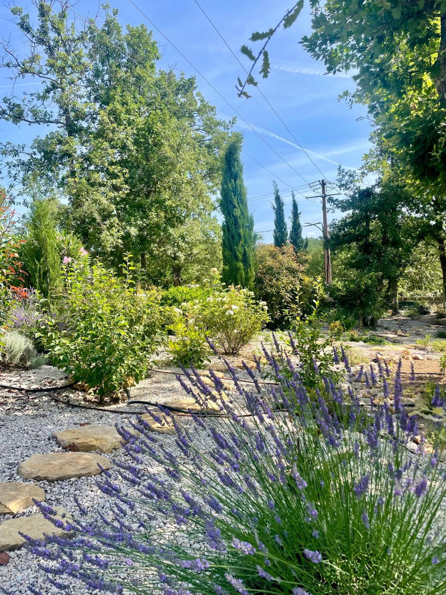 Superbe Villa Seillans La Grande Bastide Avec Piscine, Jardin, Climatisation Et Salle De Sport Eksteriør billede