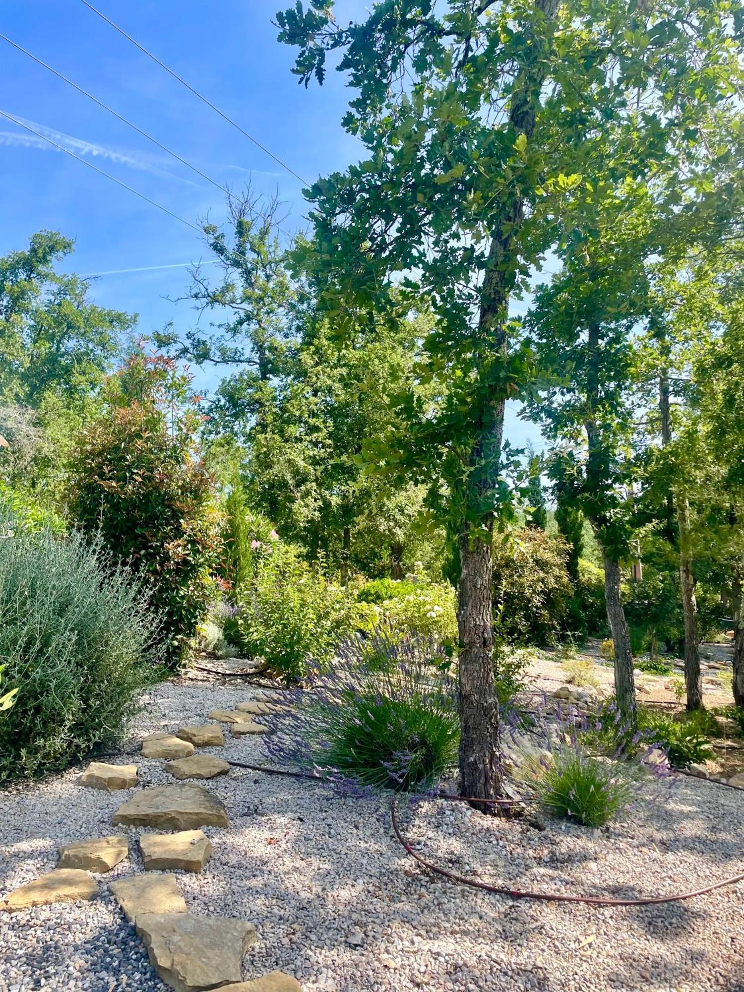 Superbe Villa Seillans La Grande Bastide Avec Piscine, Jardin, Climatisation Et Salle De Sport Eksteriør billede